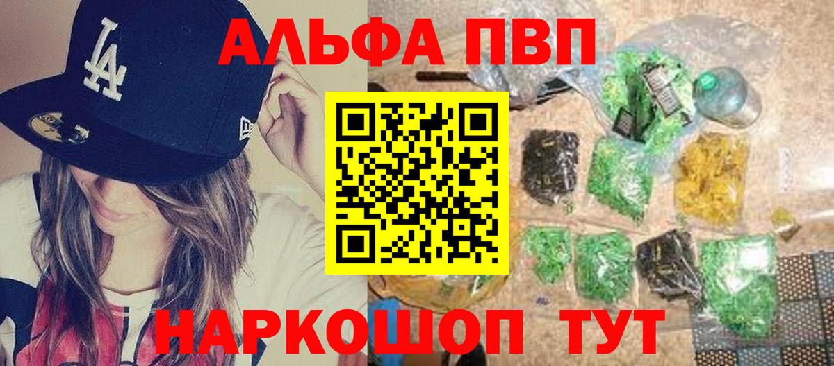 Alfa_PVP СК Кострома