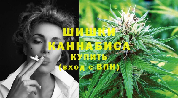 дживик Мегион