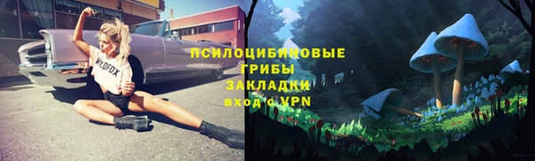 МДПВ Медногорск