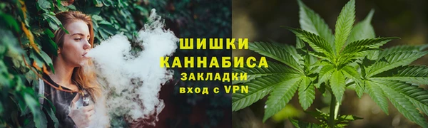 метадон Богданович