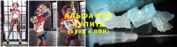 дживик Мегион