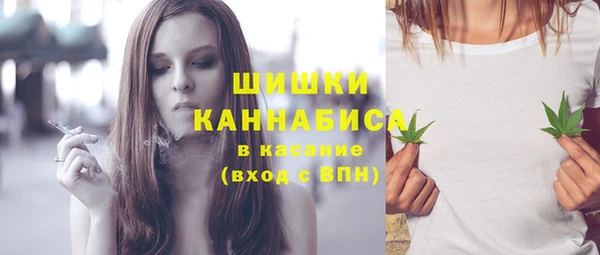 дживик Мегион