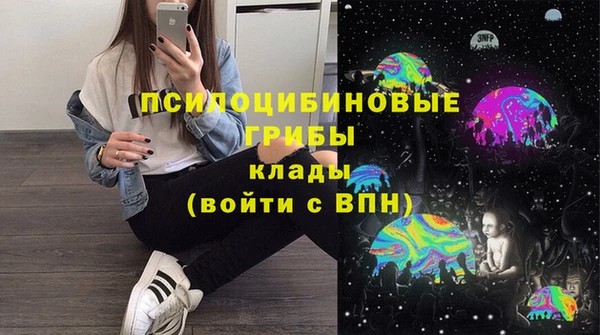 дживик Мегион