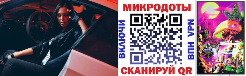 ссылка на мегу как войти  Кострома  Псилоцибиновые грибы GOLDEN TEACHER  что такое  