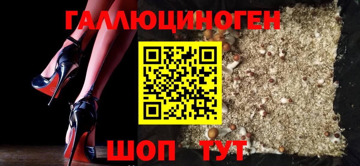 Галлюциногенные грибы мицелий  Вход с VPN  Псилоцибиновые грибы ЛСД  Кострома 