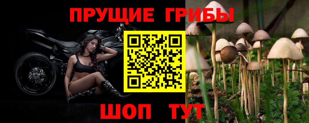 Галлюциногенные грибы GOLDEN TEACHER Кострома